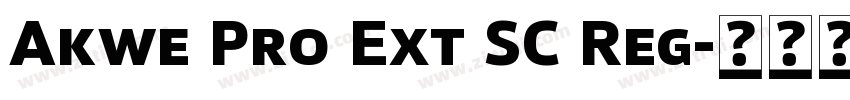 Akwe Pro Ext SC Reg字体转换